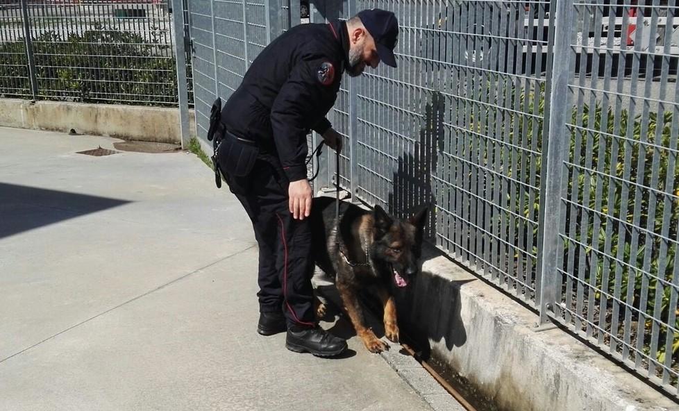 Avevano coca nel garage, coppia di coniugi arrestata