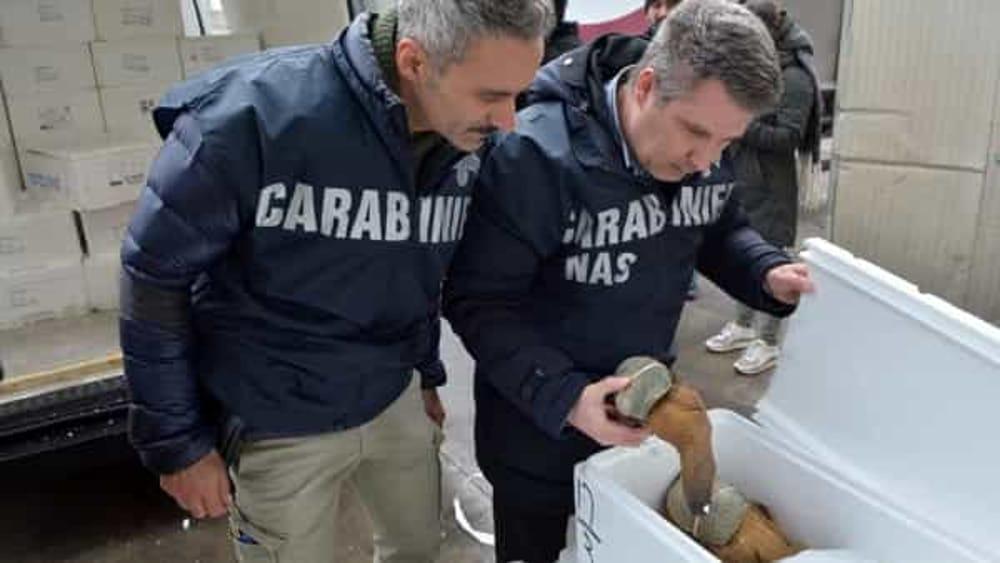Condizioni igieniche scarse: chiuso un ristorante sushi di Forte dei Marmi