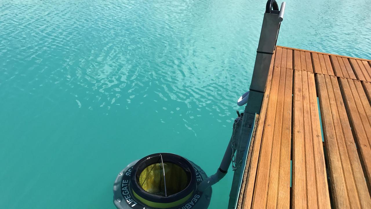 Bidone aspirarifiuti pulisce l'acqua del porto di Rosignano