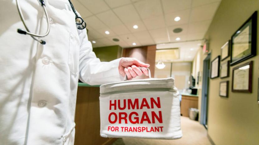 Trapianti: a Firenze donatore di organi di 93 anni