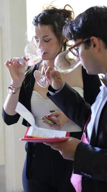 Sassicaia, Nambrot i grandi Bordeaux ad Anteprima Vini degustazioni d’élite 