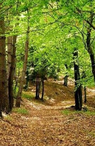 Il giardino gioiello voluto per Isabella che domina l’antica via Francigena 