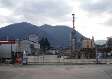Lex cartiera Alce 