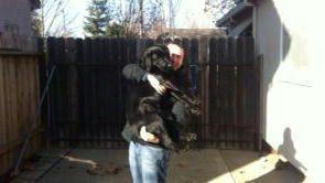 Luca Bertini con il labrador in braccio a Sacramento
