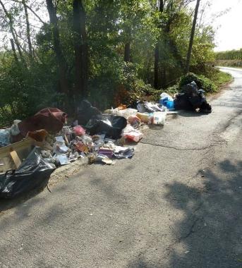 Alcuni dei sacchetti trovati 