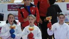 Promesse del karate