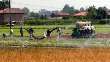 Con l'Imu nuova stangata sull'agricoltura