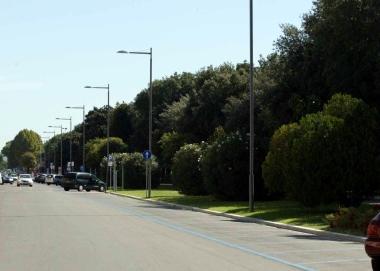Viale Buozzi a Empoli 