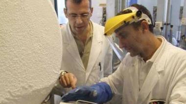 Conservazione del cordone ombelicale
