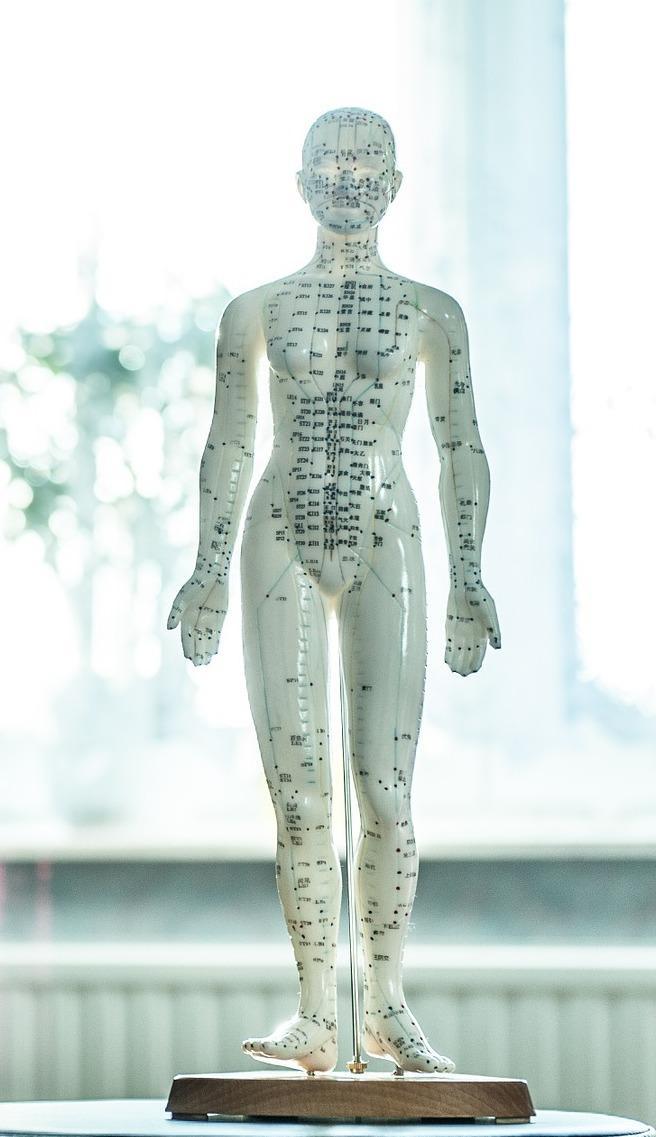 Scuola di Naturopatia SINCro: nel cuore della Toscana l'Eccellenza della Formazione in Naturopatia 