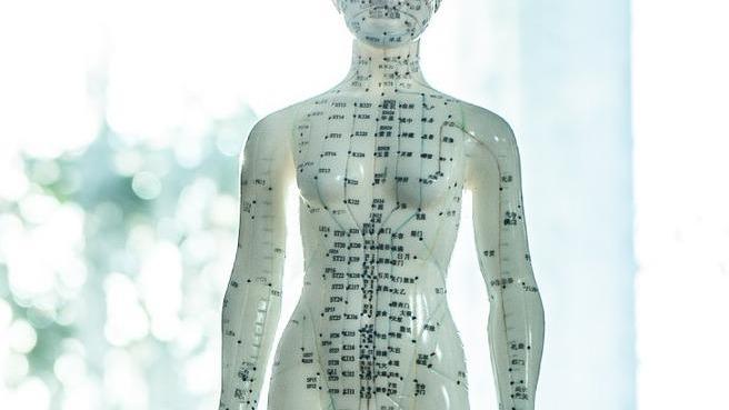 Scuola di Naturopatia SINCro: nel cuore della Toscana l'Eccellenza della Formazione in Naturopatia