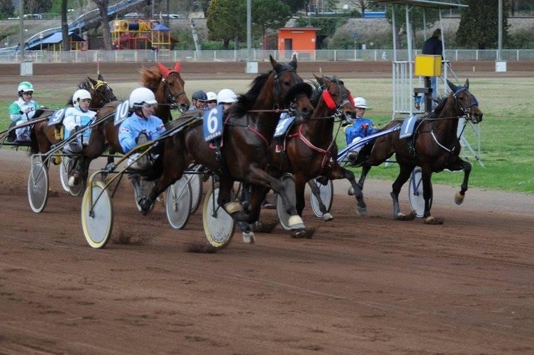 All'ippodromo Sesana "il Campionato delle Stelle"