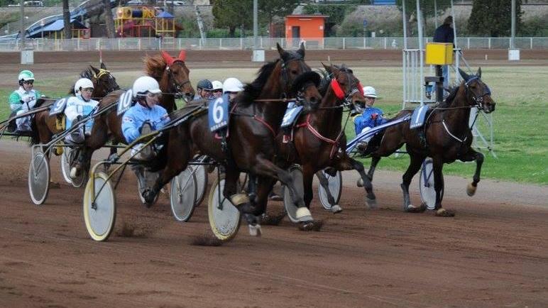 All'ippodromo Sesana "il Campionato delle Stelle"