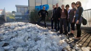 Protesi del tipo Pip, accusate di essere pericolose ritirate dal mercato
