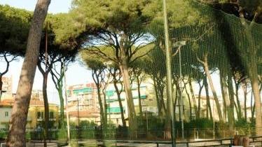 <b>LA PISTA DEI PINI </b>torna nelle mani della Guardia forestale come l’intera area nella pineta di ponente di proprietà dello Stato