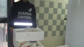 <strong>BLITZ.</strong> La Capitaneria nel magazzino