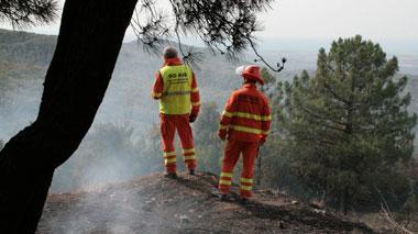 Due incendi devastano i boschinella notte di Capodanno