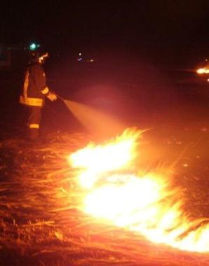 Incendio nei boschi durante la notte di Capodanno 