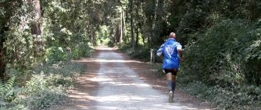 <b>MANUTENZIONE.</b> Il Parco della Versiliana 