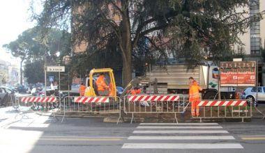 Rifacimento al via per l'aiuola spartitraffico tra piazza Guerrazzi e via Croce