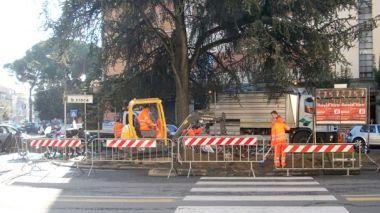 Rifacimento al via per l'aiuola spartitraffico tra piazza Guerrazzi e via Croce