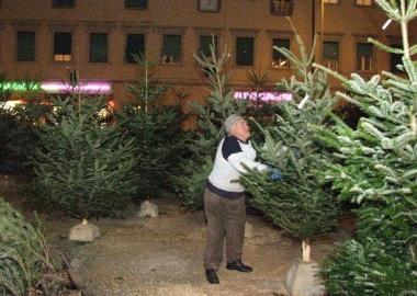 Alberi di Natale  
