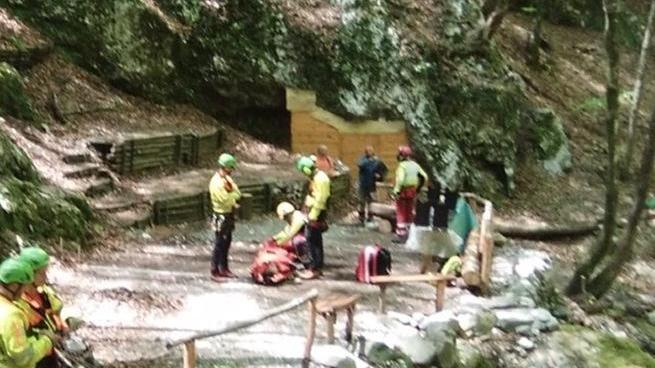Travolto da un albero Operaio trasportato a Pisa in elicottero