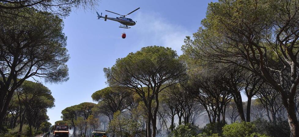 Sos Pineta del Tombolo «Quel piano antincendio produrrà uno scempio»