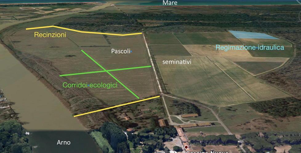 Reti in difesa delle biodiversità e dissuasori ad ultrasuoni 