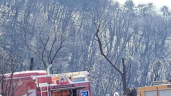 Domani giornata dedicata alla prevenzione incendi