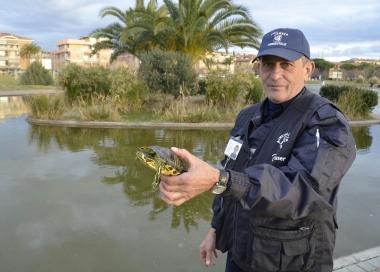 <strong>IL CASO.</strong> Tartarughe americane nel parco di via Giotto A sinistra un pitone