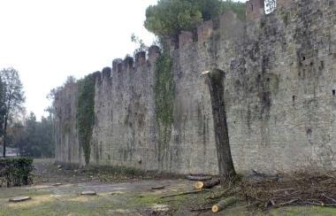 I lavori di ripulitura nel tratto tra Porta San Zeno e Porta Bagni di Nerone 