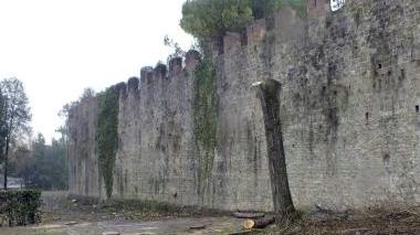 I lavori di ripulitura nel tratto tra Porta San Zeno e Porta Bagni di Nerone