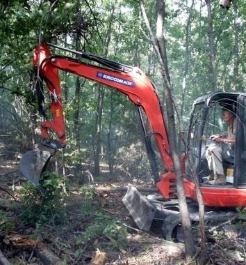 Al lavoro in un bosco 
