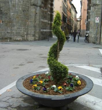 Una delle fioriere allestite dal Comune nel centro storico 