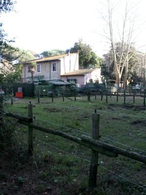Unimmagine dell scuderie acquistate dal Comune    