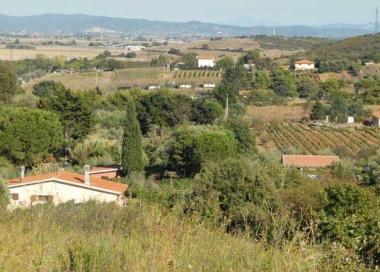 Terreni agricoli nei dintorni di Piombino 