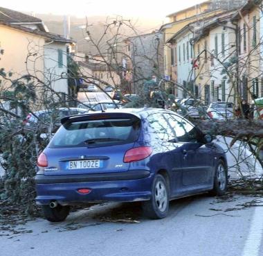 Lalbero caduto in strada sulla Lucchese 