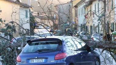 L’albero caduto in strada sulla Lucchese