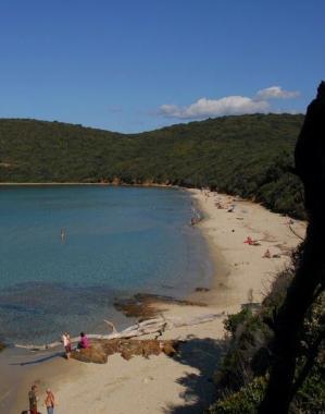 <b>CALA VIOLINA.</b> A maggio il primo matrimonio in spiaggia  