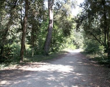 Il parco della Versiliana   