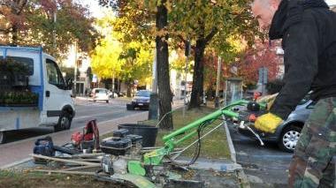 La cura del verde pubblico da marzo sarà affidata a una coop sociale