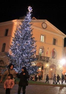«Salviamo e ripiantiamo gli alberi di Natale»