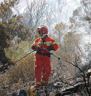Via libera del Governo al piano antincendi del Parco