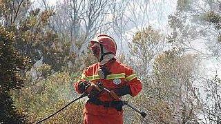 Via libera del Governo al piano antincendi del Parco