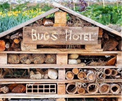 Ambiente da rispettare: ai Portali di Modena arriva l’“hotel” per gli insetti 