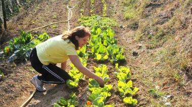 Giovani e agricoltura La Regione stanzia 2 milioni