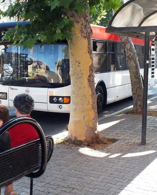 Trasporto pubblico La protesta di Mobit 
