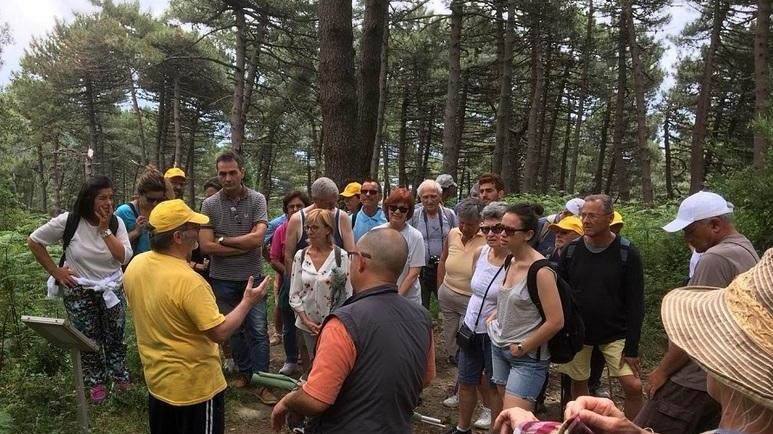 Telecamere per proteggere le farfalle dell’Elba