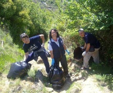 Volontari impegnati nella pulizia di un bosco 
